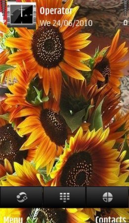   Absolutely Sunflowers