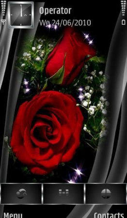  Red roses