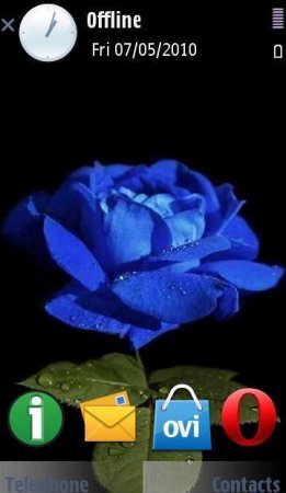   Blue Rose