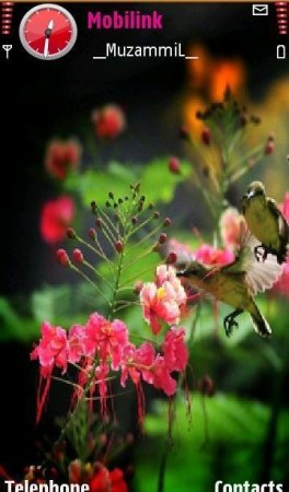   Flowers And Bird