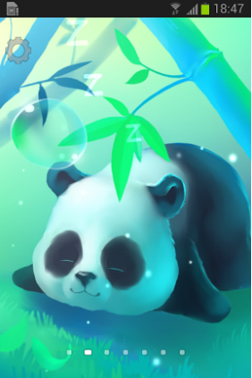 Bamboo Panda -    