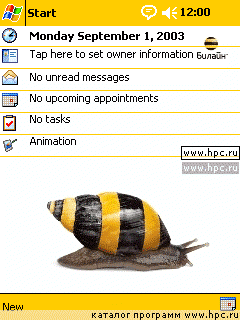 Bee_Snail