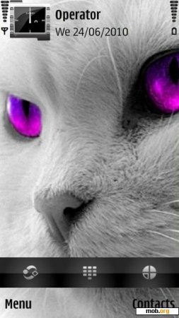   Purple Eye Cat
