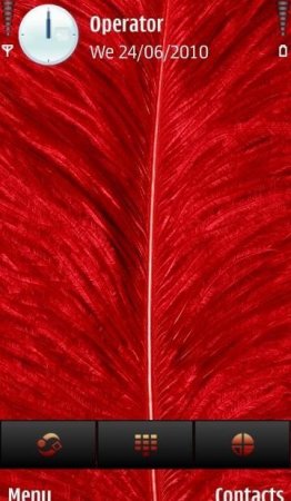  RED FEATHER