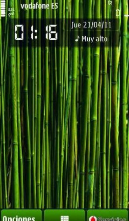   Bamboo