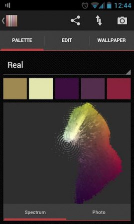 Real Colors