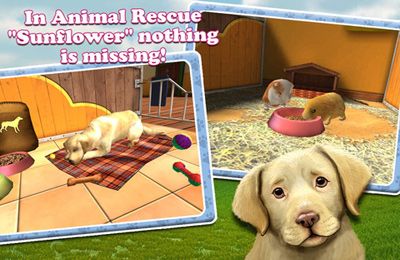  3D (PetWorld 3D: My Animal Rescue)
