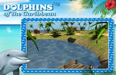    -     (Dolphins of the Caribbean - Adventure of the Pirates Treasure)