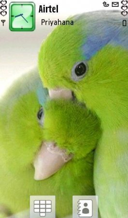   Love_Birds