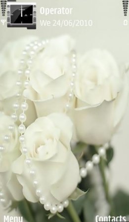   White Roses