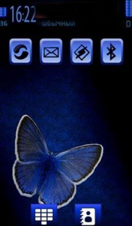   Blue Butterfly