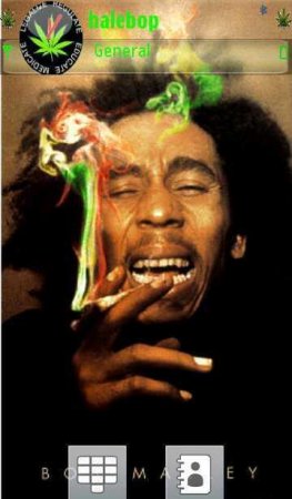 Тема  Bob Marley