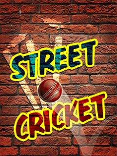   (Street cricket)
