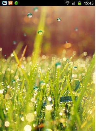 Galaxy S4 Rain n Grass