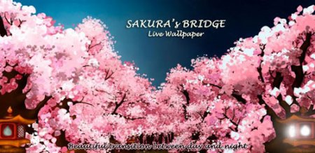 Sakura's Bridge Live Wallpapers