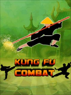 -  (Kung fu combat )