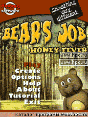 Bears Job. Honey Forever