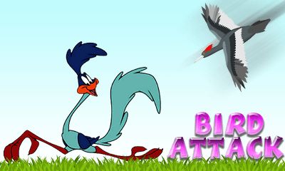   (Bird attack)