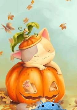   Pumpkin Kitten