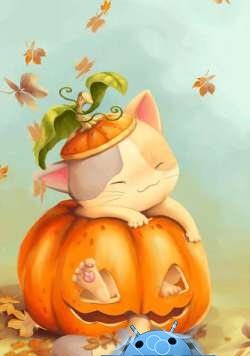   Pumpkin Kitten