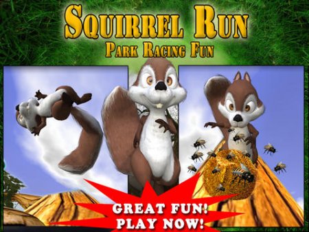   (Squirrel Run)