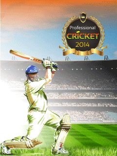   2014 (Professional cricket 2014)