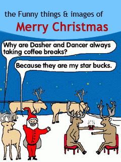 Funny christmas things and images in a album