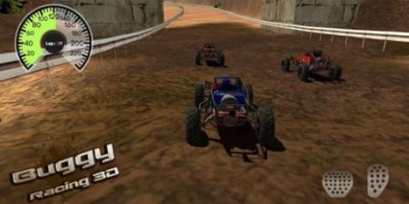    3D (Buggy racing 3D)