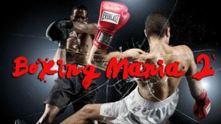   2 (Boxing mania 2)