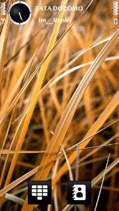 Dry Grasss By Venky