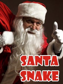  - (Santa snake)