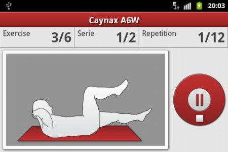 Caynax Aerobic Weider Six