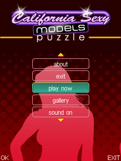     (California sy models puzzle)
