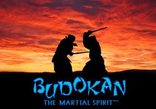 :   (Budokan: The martial spirit)