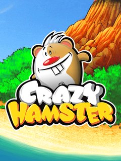    (Crazy hamster)