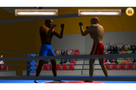 Box Fight 3D