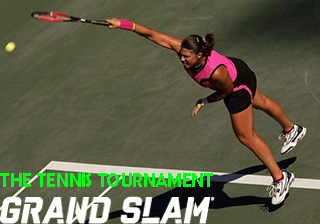  :   (Grand slam: The tennis tournament)