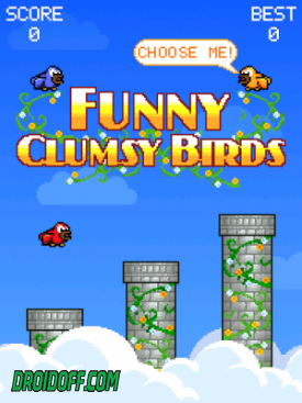 Funny Clumsy Birds
