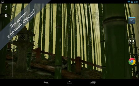 Bamboo Forest 3D LWP Free