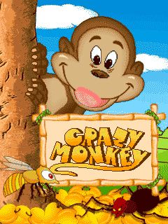   (Crazy monkey)