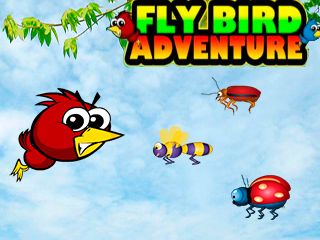    (Fly bird adventure)