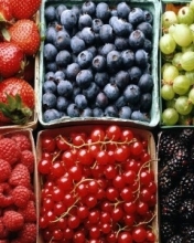 Фото различных ягод