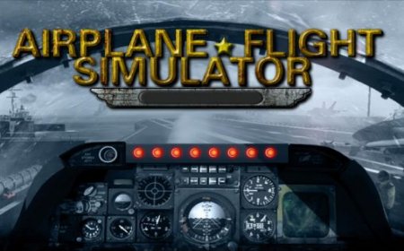     (3D Airplane flight simulator)