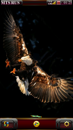   Eagle 