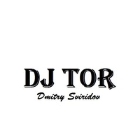  DJ Tor - Perky Accordion