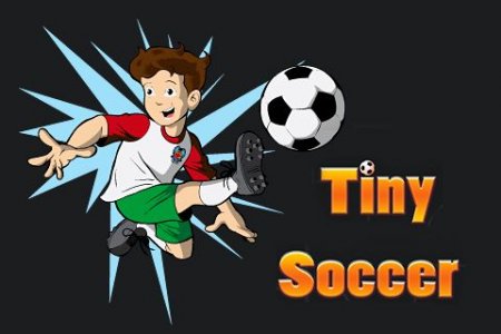 Tiny soccer (Дворовый футбол)