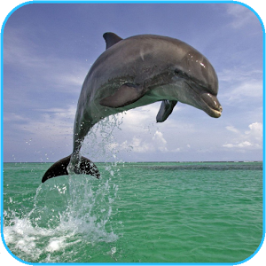 Дельфин 3d. 