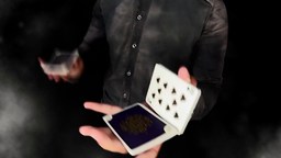 Ловкость рук карточного игрока