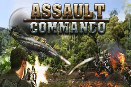 Assault commando ( )
