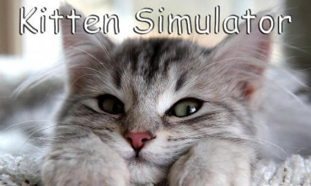 Kitten simulator ( )